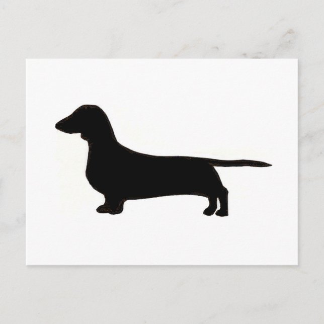 dachshund postcard (Front)
