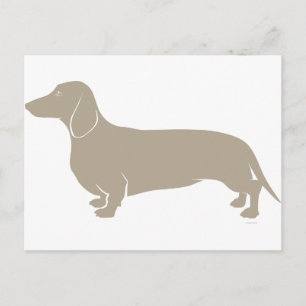 Dachshund Postcard