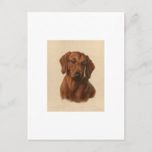 Dachshund Postcard