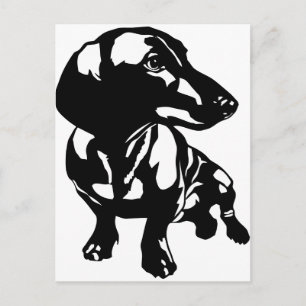 Dachshund Postcard