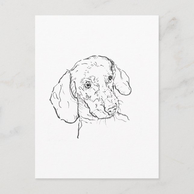Dachshund Postcard – Sausage Dog Illustration (Front)