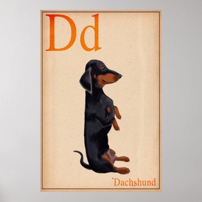 Dachshund Poster (Front)