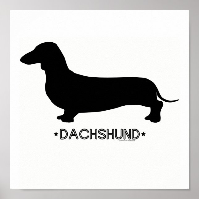 Dachshund Print (Front)