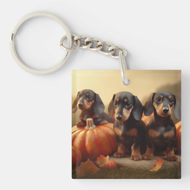 Dachshund Puppy Autumn Delight Pumpkin Key Ring (Front)