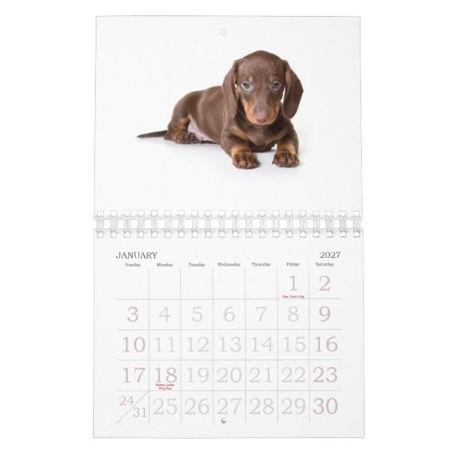 Dachshund Puppy Calendar 2011 (Jan 2027)