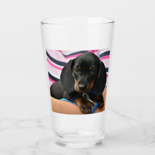 dachshund-puppy cute glass