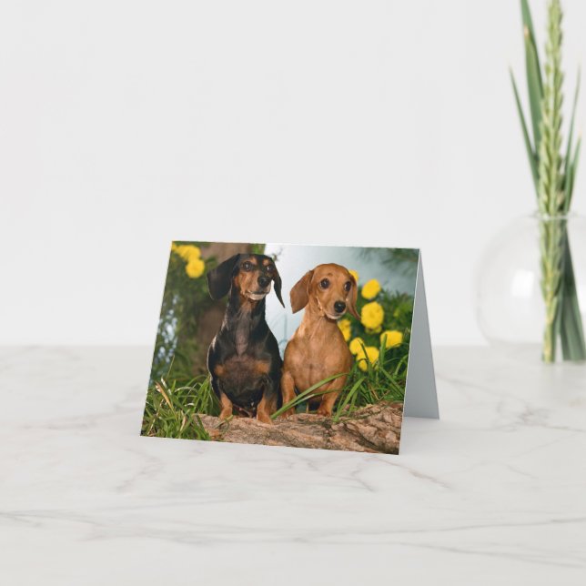 Dachshund Puppy Dog Blank Note Card (Front)