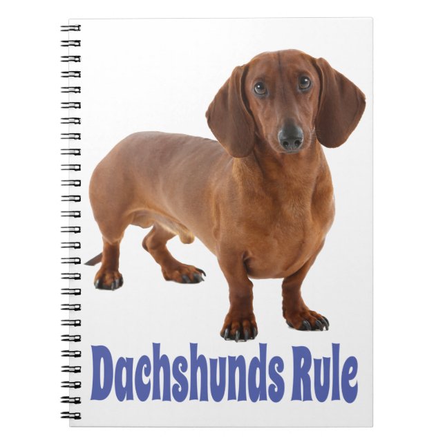 Dachshund Puppy Dog Blue Love Notebook (Front)