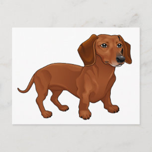 Dachshund Puppy Dog - Hello, Thinking of You, Love Postcard
