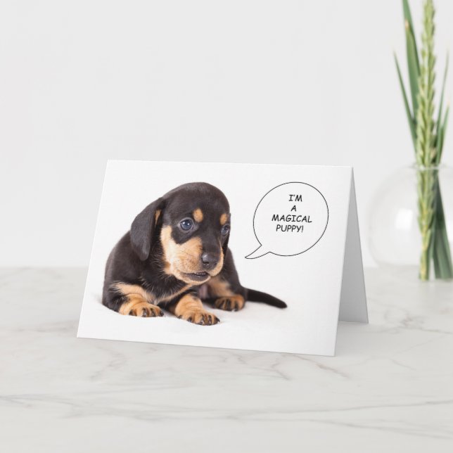 Dachshund Puppy Get Well Card (Front)