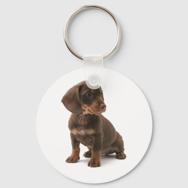 Dachshund Puppy Keychain (Front)