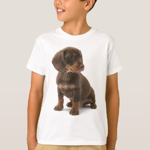 Dachshund Puppy Kid's T-Shirt