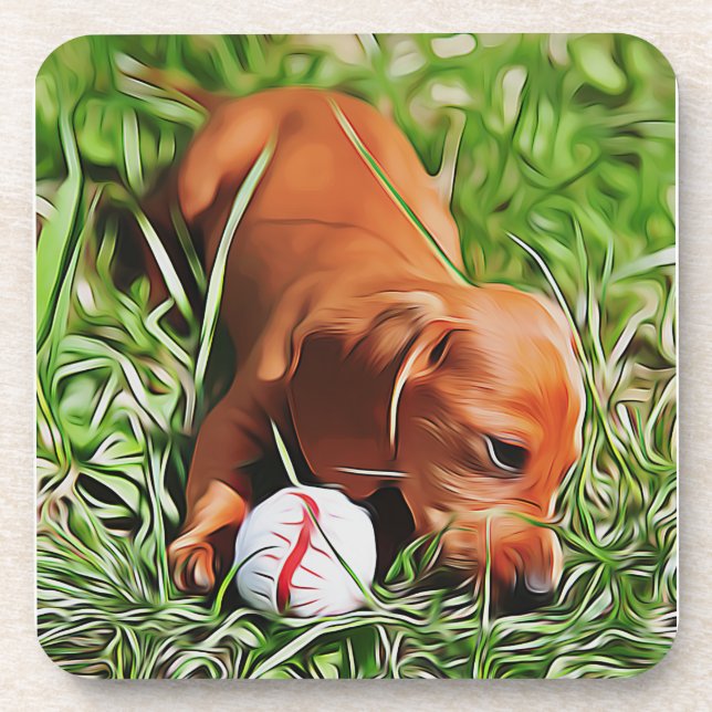 Dachshund Puppy Laying In Grass With Ball Xmas Pos Coaster (Front)