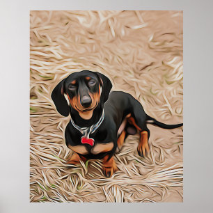 Dachshund Puppy Looks At The Camera Poster