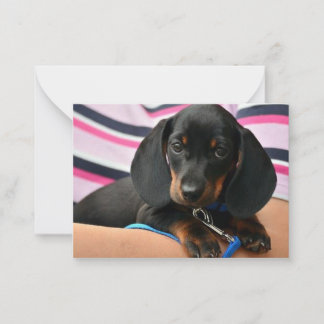 Dachshund Puppy Note Card - Flat Note Card
