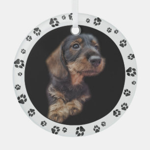 Dachshund Puppy Photo Paw Prints Glass Tree Decoration