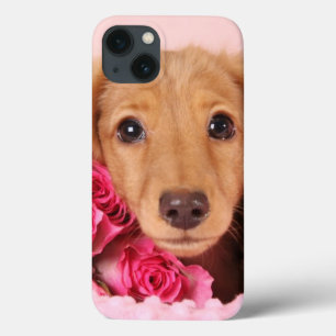 Dachshund Puppy Surrounded by Roses iPhone 13 Case