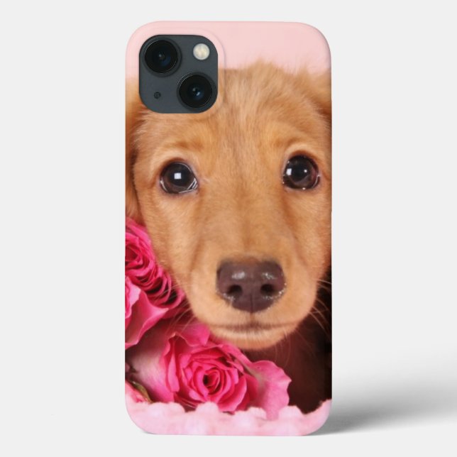 Dachshund Puppy Surrounded by Roses Case-Mate iPhone Case (Back)
