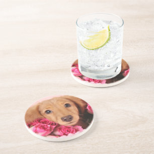 Dachshund Puppy Surrounded by Roses Coaster