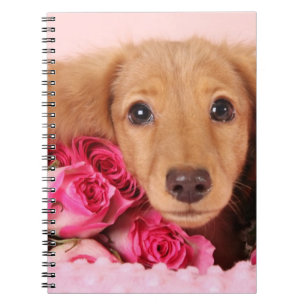 Dachshund Puppy Surrounded by Roses Notebook