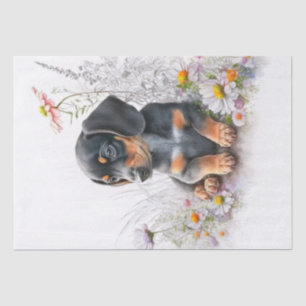 Dachshund Puppy Watercolor Tissue Paper