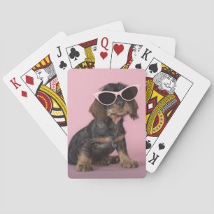 Dachshund Puppy Wearing Sunglasses Playing Cards