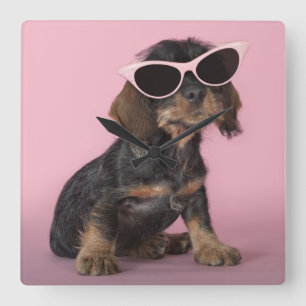 Dachshund Puppy Wearing Sunglasses Square Wall Clock