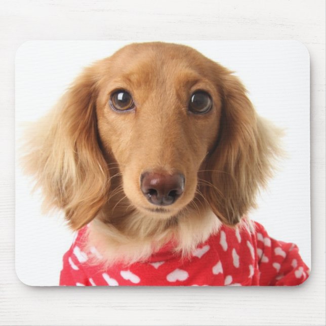 Dachshund Puppy Wearing Valentine's Outfit Mouse Pad (Front)