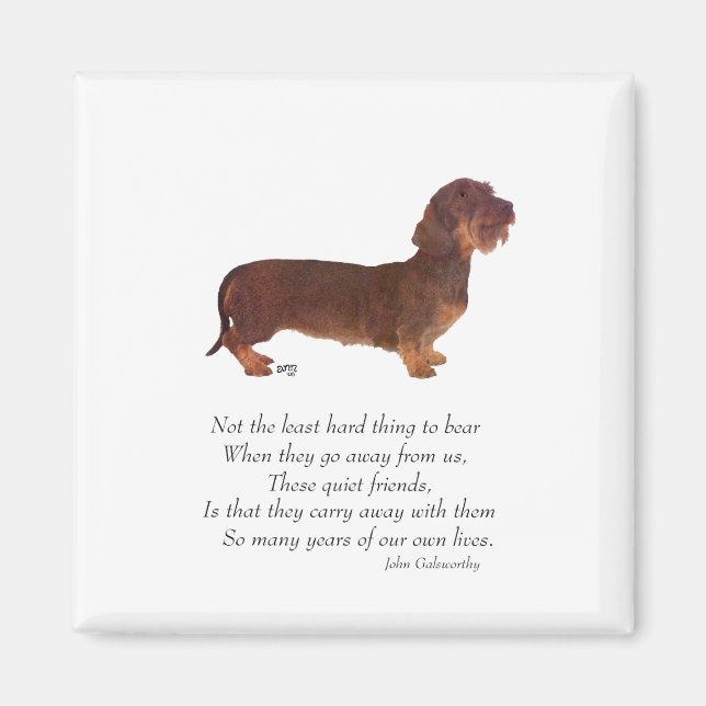 Dachshund Rainbow Bridge Magnet (Front)
