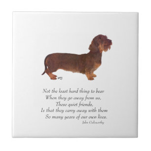 Dachshund Rainbow Bridge Tile