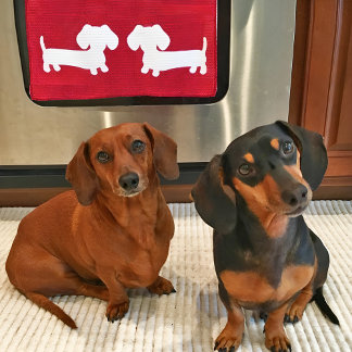 Dachshund Red Dish Towel for Wiener Dog Lovers