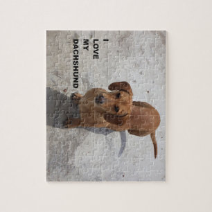 dachshund red full love w pic jigsaw puzzle