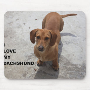 dachshund red full love w pic mouse pad