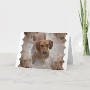 Dachshund Rescue Greeting Card