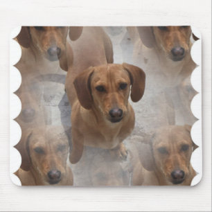 Dachshund Rescue Mouse Pad