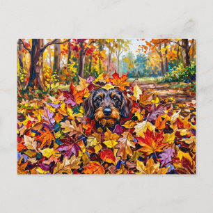 Dachshund Resting in Colourful Autumn Leaves Postcard