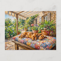 Dachshund Resting on Patchwork Garden Bench