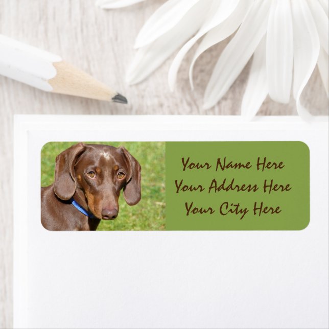 Dachshund Return Address Label (Insitu)