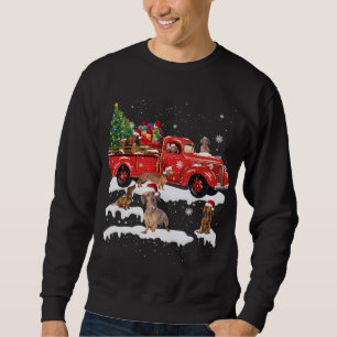 Dachshund Riding Red Truck Merry Christmas X-mas U Sweatshirt