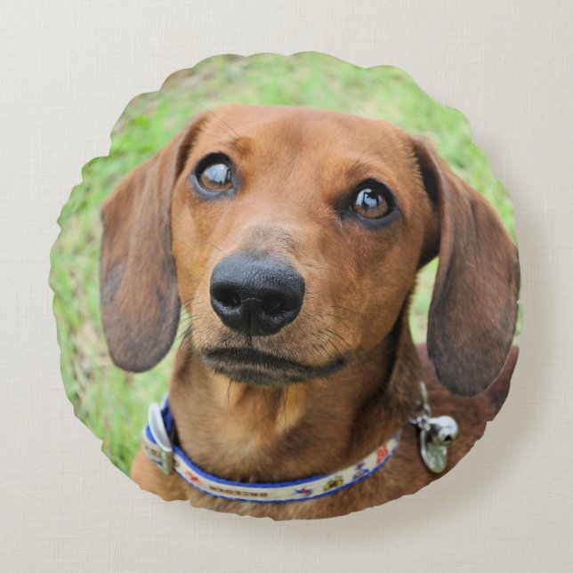 dachshund round cushion (Front)