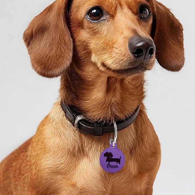 Dachshund Safety Tags Wiener Dog Tag  Personalised (new dachshund puppy gift - purple dog tag ID )