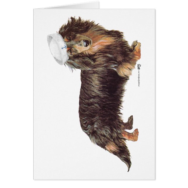 Dachshund Sailor (Front)