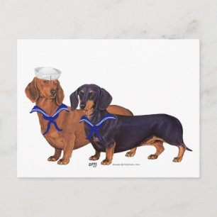 Dachshund Sailors Postcard