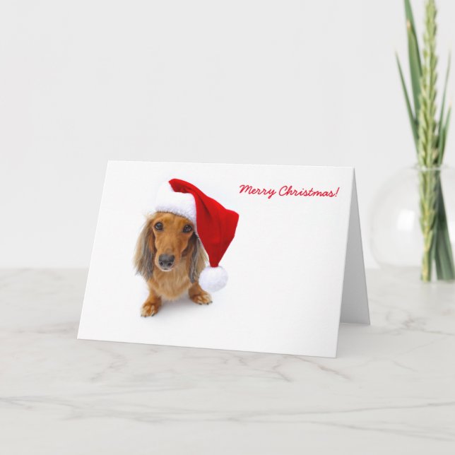 dachshund santa holiday card (Front)