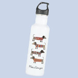 Dachshund Sausage Dog Personalised 710 Ml Water Bottle<br><div class="desc">Cute little Dachshund sausage or wiener dogs in woolly knitwear. Perfect for dog lovers and dog walkers. Original art by Nic Squirrell.  Change the name to customise.</div>