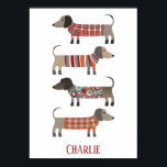 Dachshund Sausage Dog Personalised Poster<br><div class="desc">Cute little Dachshund sausage or wiener dogs in woolly knitwear. Perfect for dog lovers and dog walkers.  Change the name to customise.  Original art by Nic Squirrell.</div>