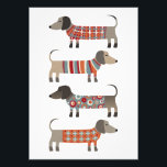 Dachshund Sausage Dog Photo Print<br><div class="desc">Cute little Dachshund sausage or wiener dogs in woolly knitwear. Perfect for dog lovers and dog walkers.</div>