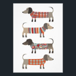 Dachshund Sausage Dog Photo Print<br><div class="desc">Cute little Dachshund sausage or wiener dogs in woolly knitwear. Perfect for dog lovers and dog walkers.</div>