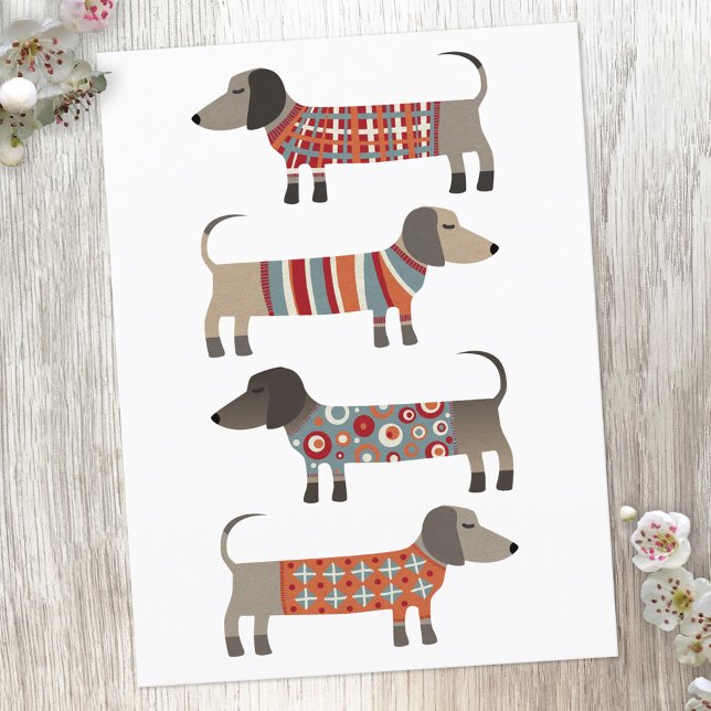 Dachshund Sausage Dog Postcard (Dachshund Wiener Sausage Dog fun postcard)