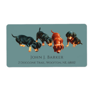 Dachshund Sausage Dog Wiener Puppies Slate Blue